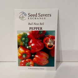 Bull Nose Bell Pepper (Sweet)